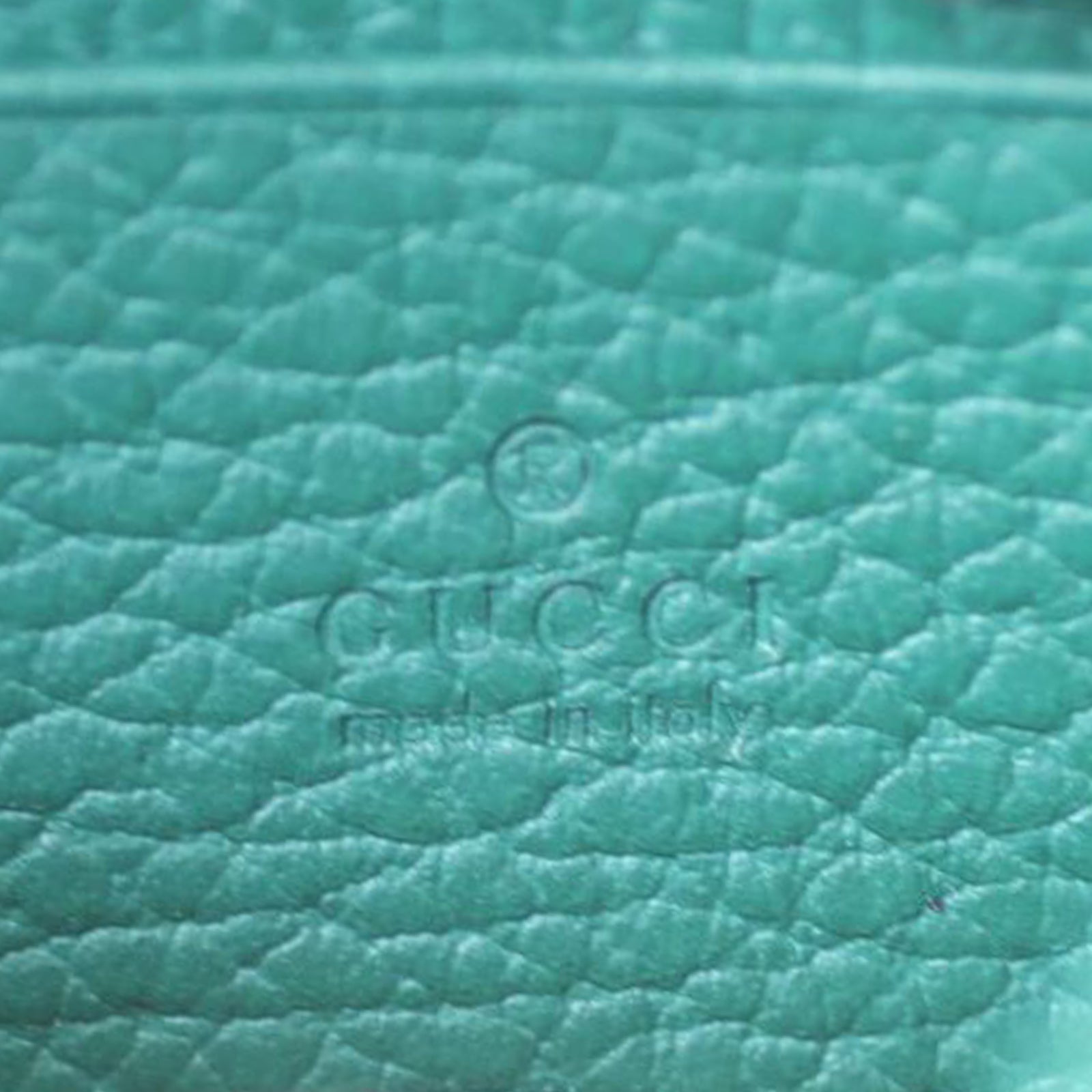 Gucci Dionysus Mini Leather Chain Bag Stamp