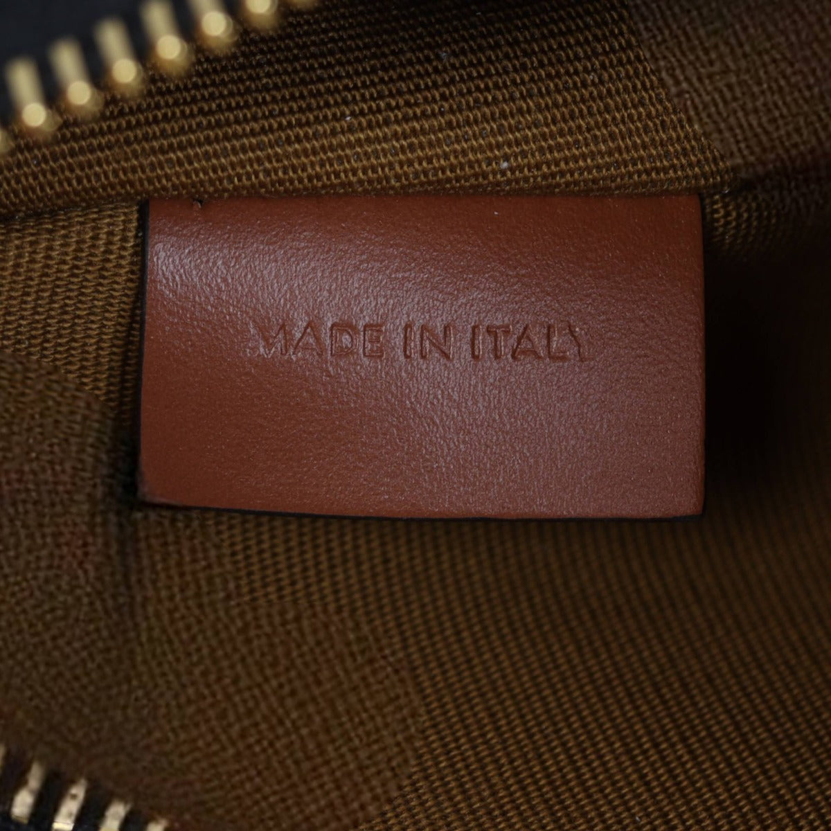 Celine Ava Triomphe Hobo