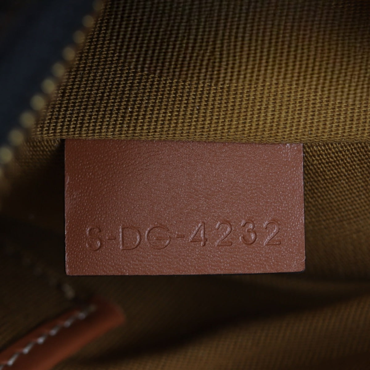 Celine Ava Triomphe Hobo