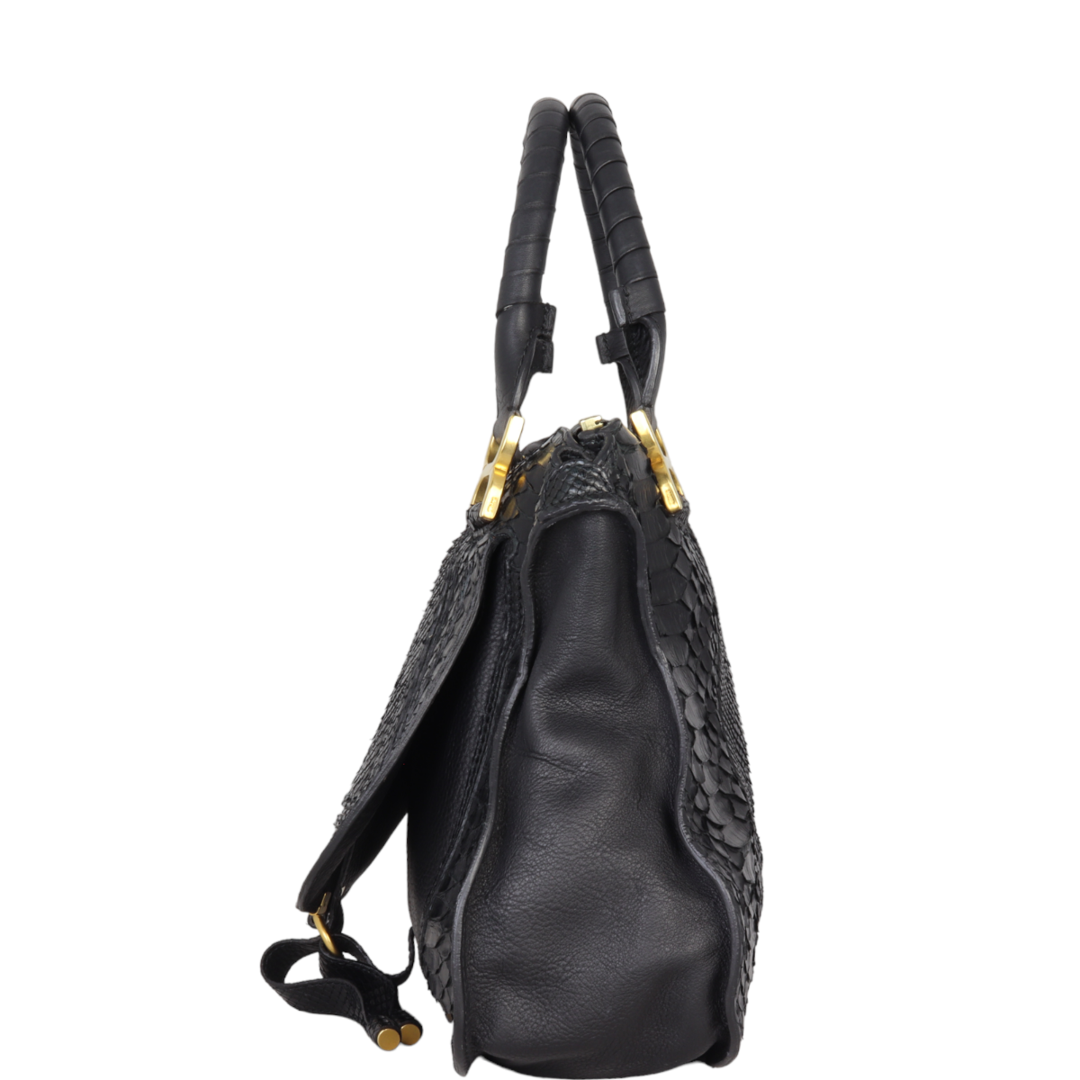 Chloe Marcie Satchel Python