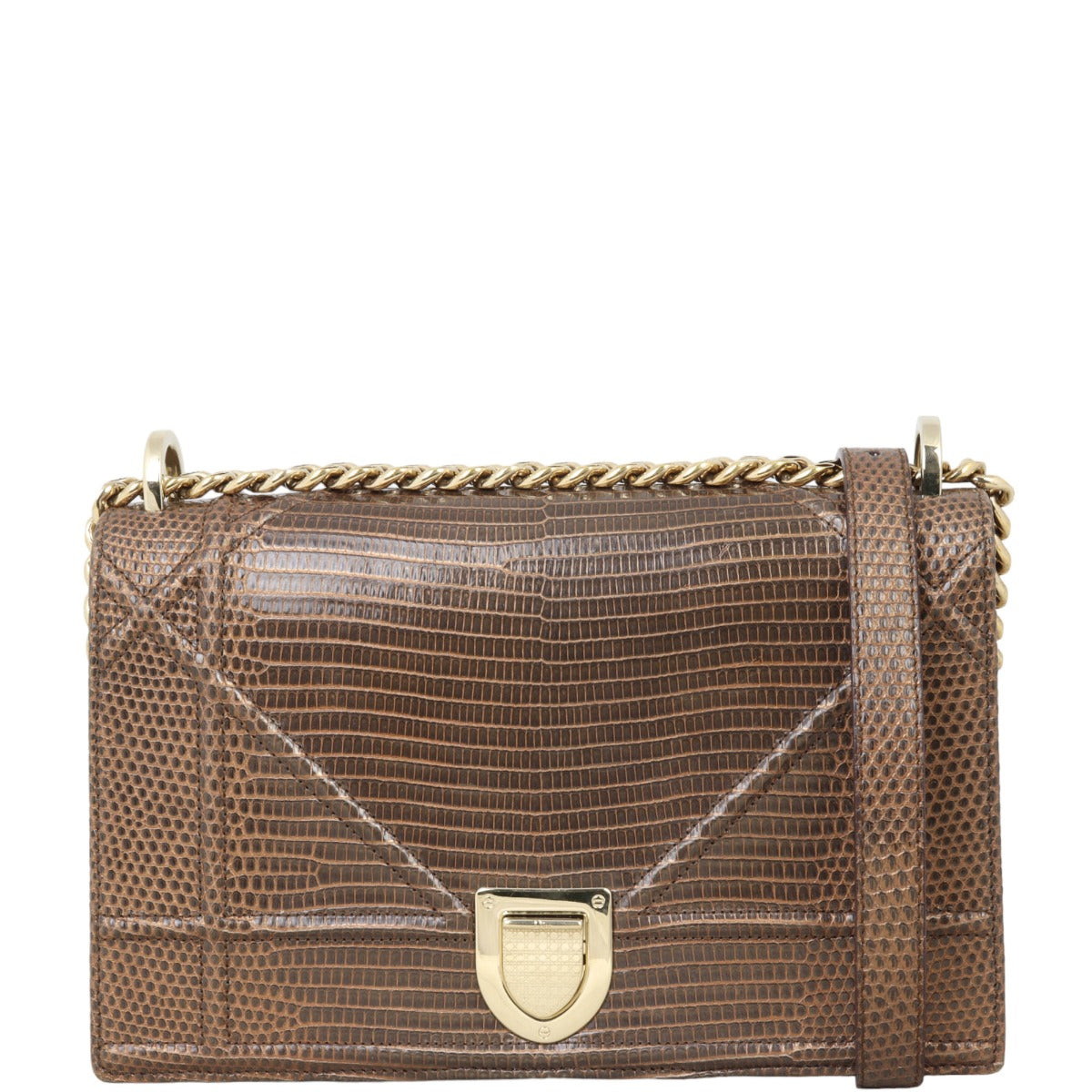 Dior Diorama Medium Lizard