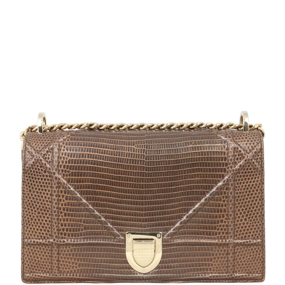 Dior Diorama Medium Lizard