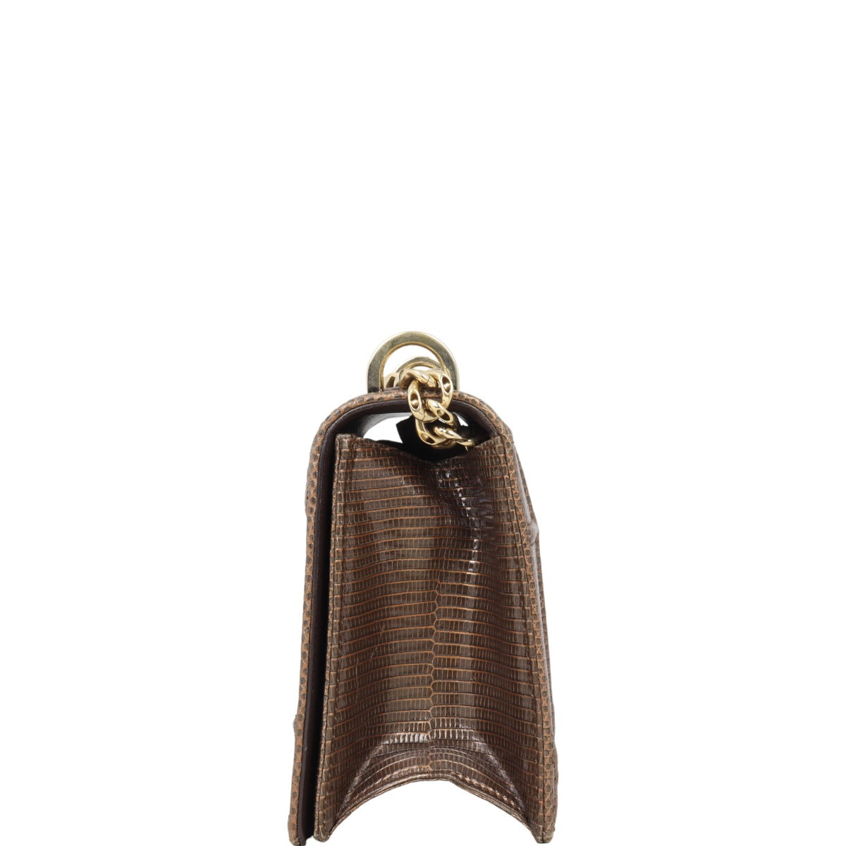 Dior Diorama Medium Lizard