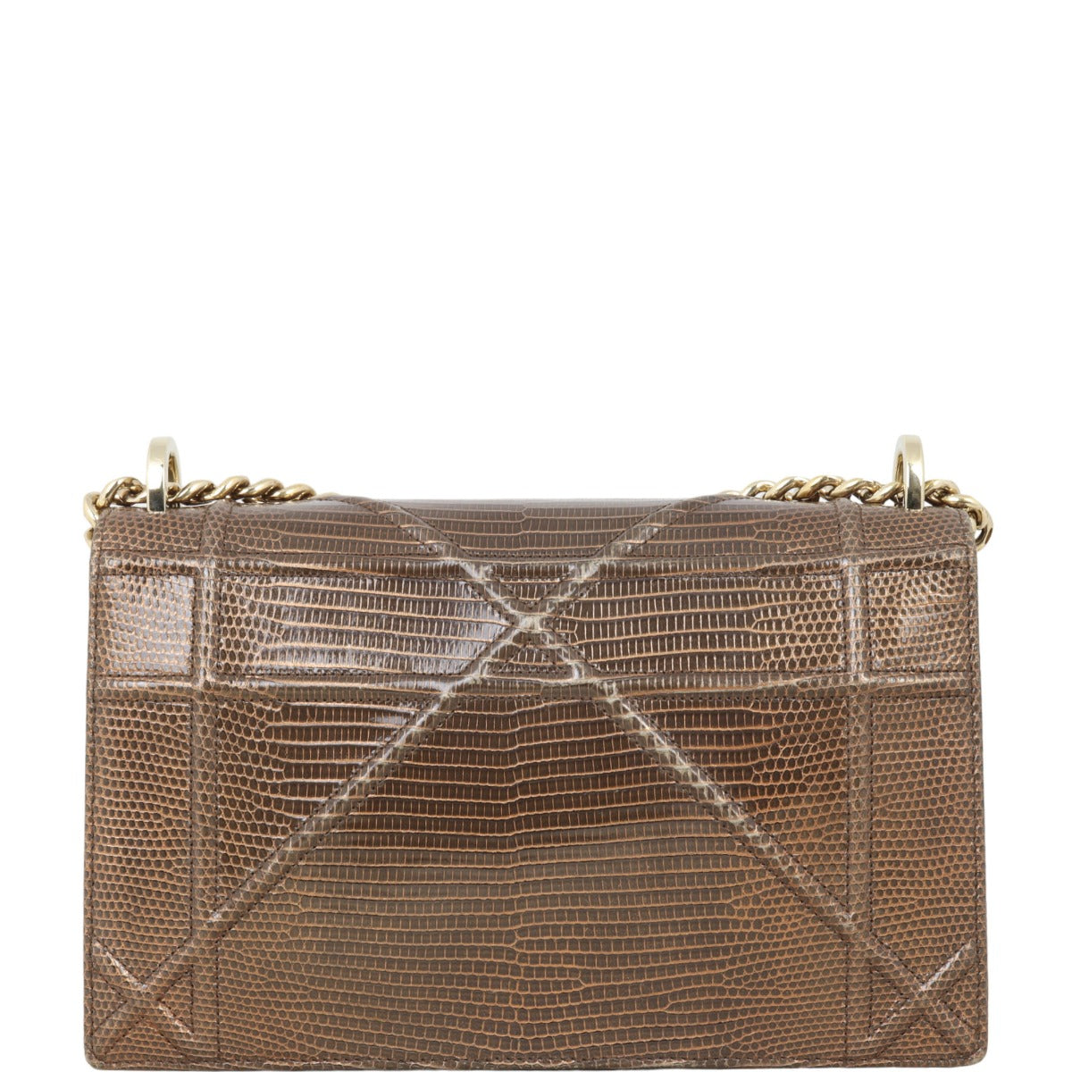 Dior Diorama Medium Lizard