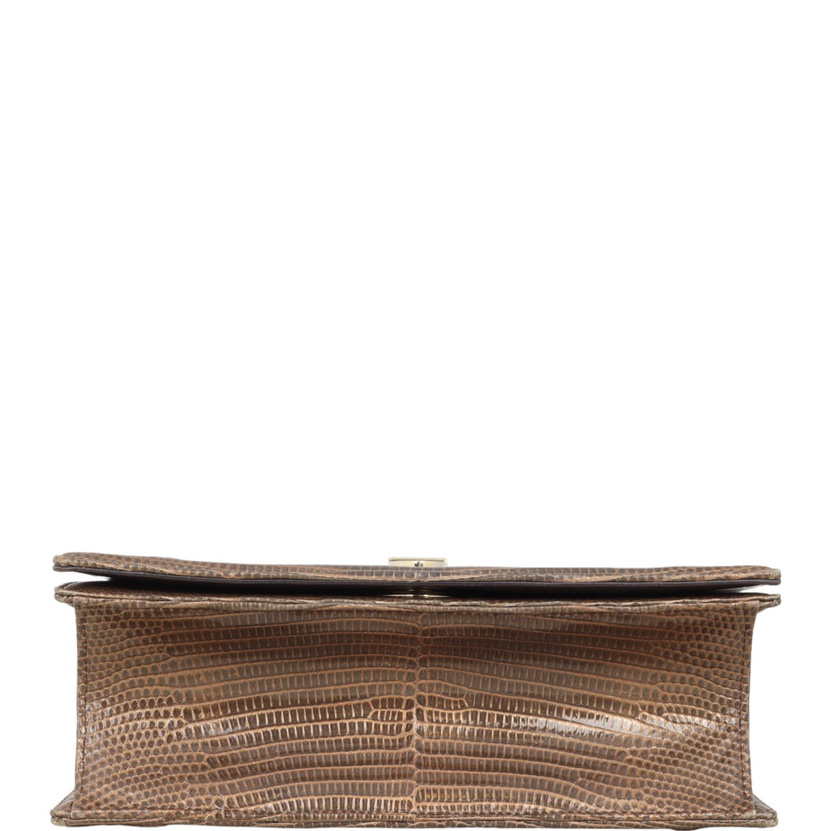 Dior Diorama Medium Lizard