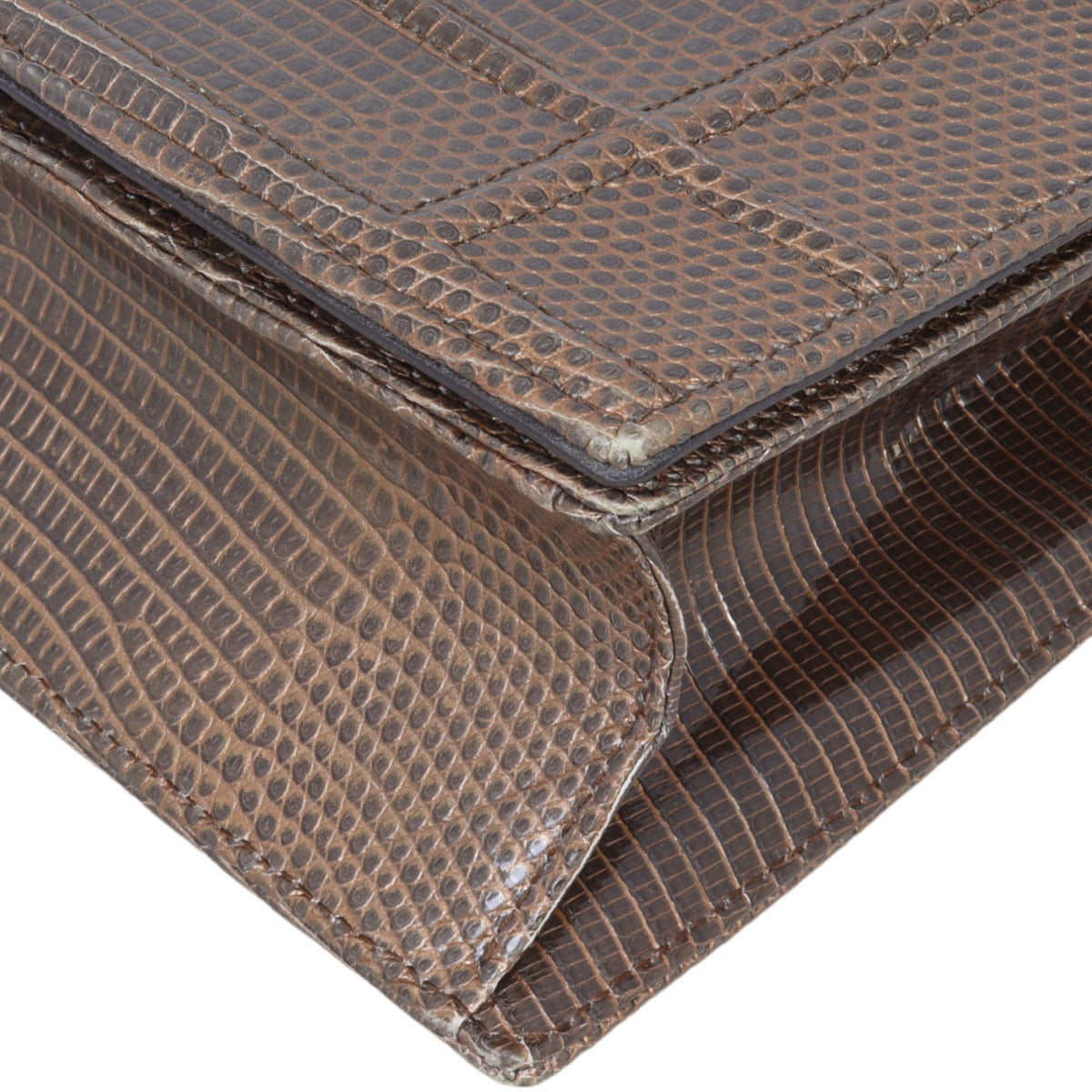 Dior Diorama Medium Lizard