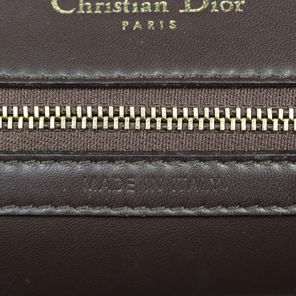 Dior Diorama Medium Lizard