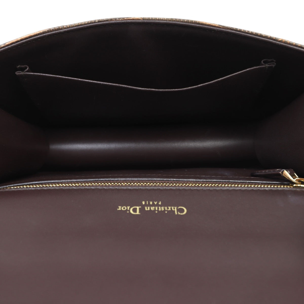 Dior Diorama Medium Lizard