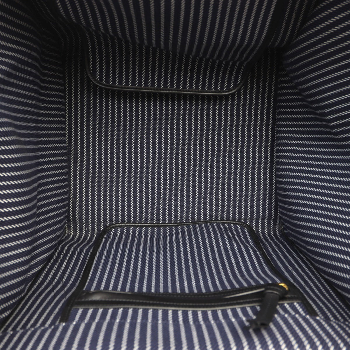 Celine Phantom Luggage Tote Canvas