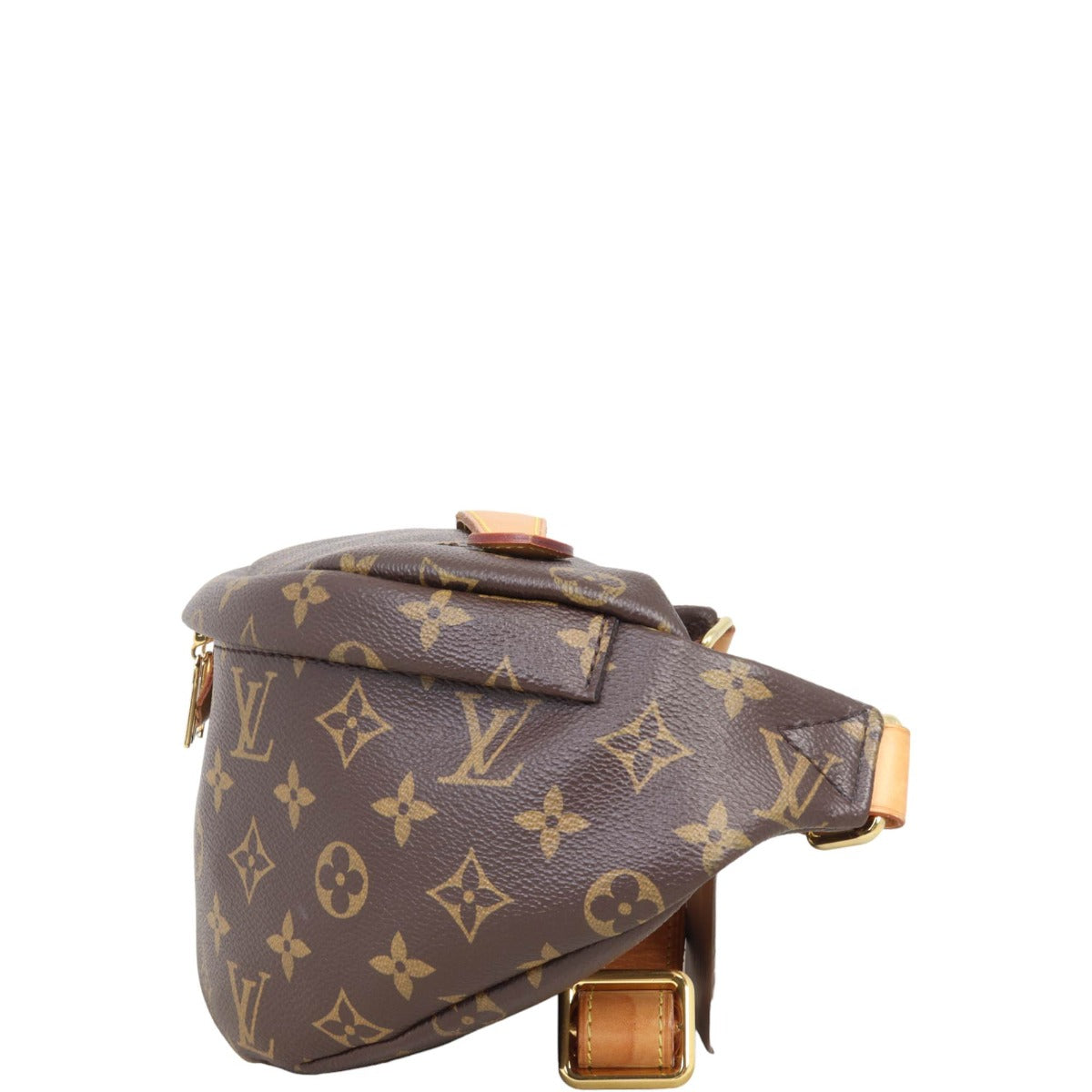 Louis Vuitton Bum Bag Monogram