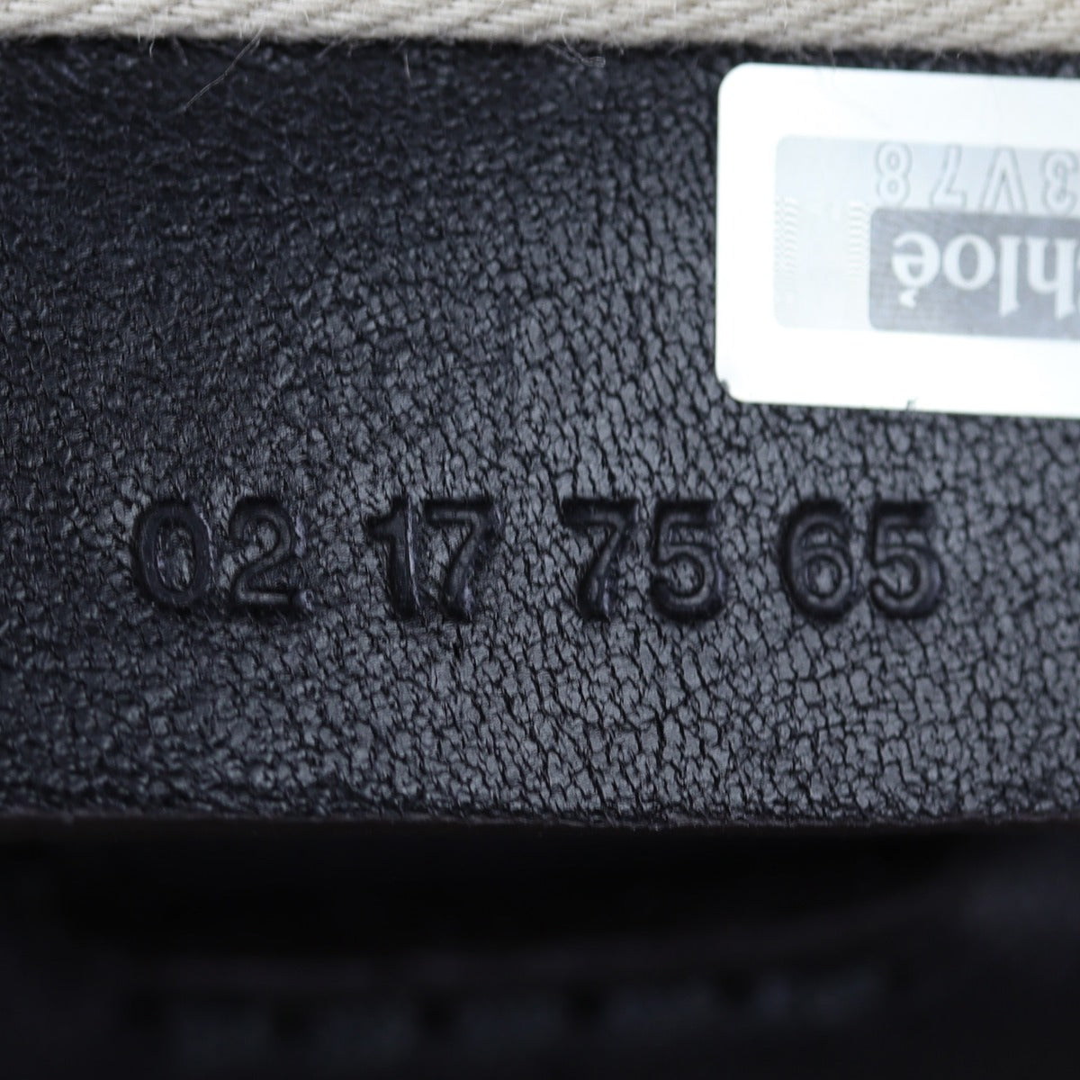 Chloe Faye Backpack Small Date code