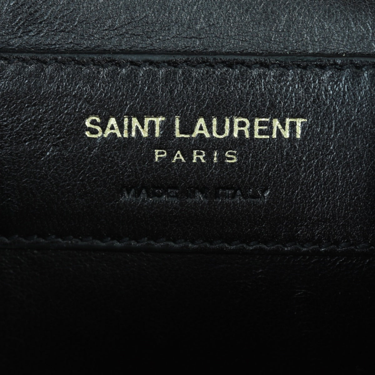 Saint Laurent Monogram Camera Bag