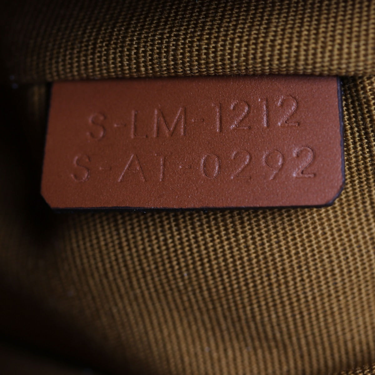 Celine Ava Triomphe Hobo