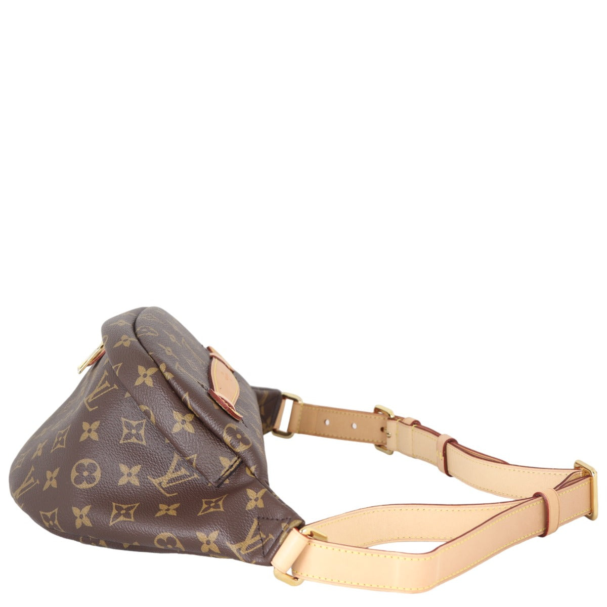 Louis Vuitton Bum Bag Monogram