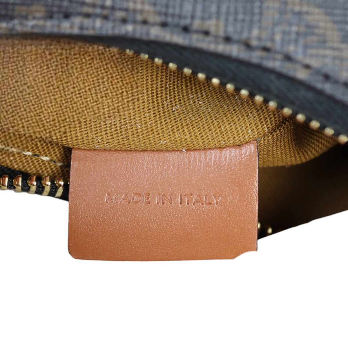 Celine Ava Triomphe Hobo