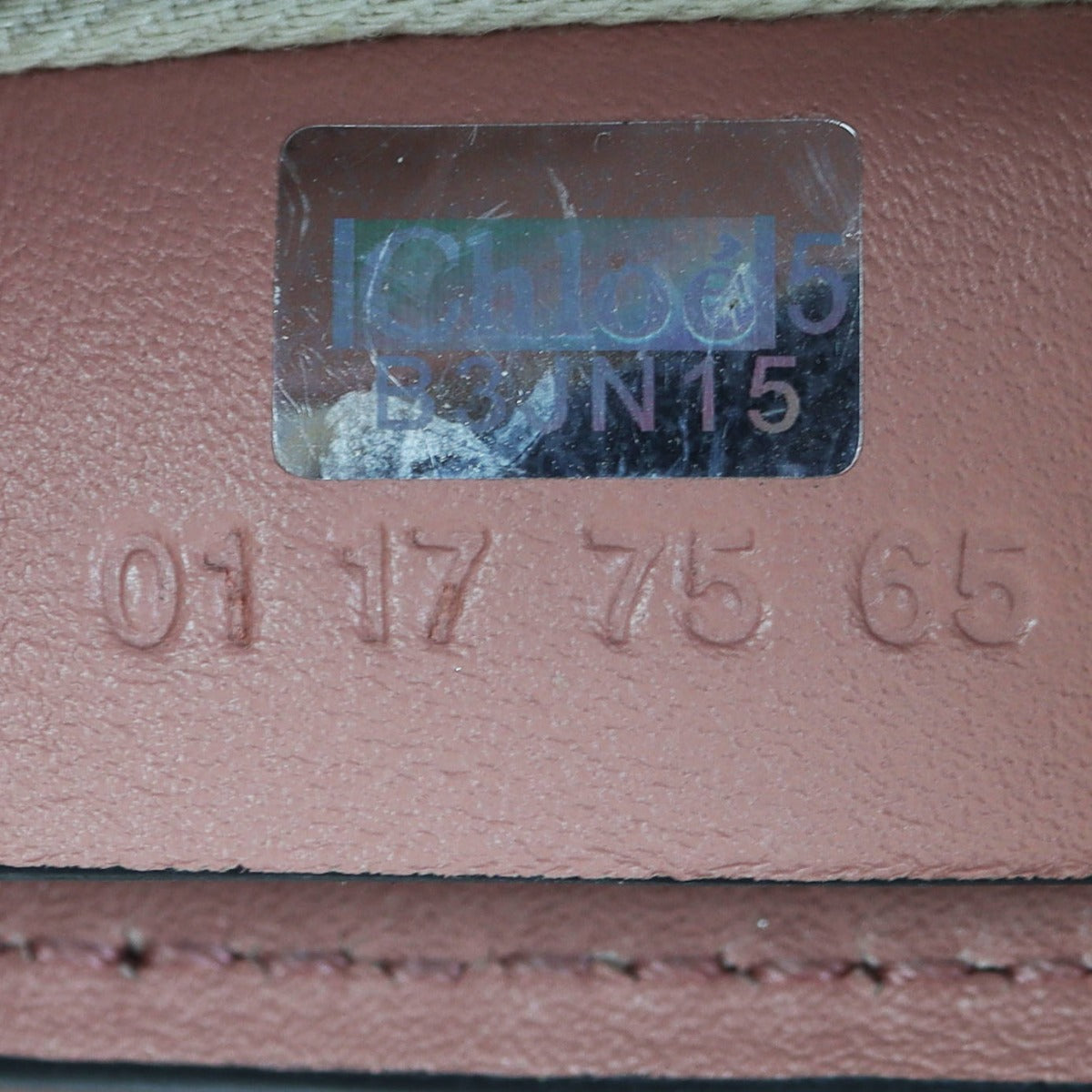 Chloe Faye Backpack Mini Date Code