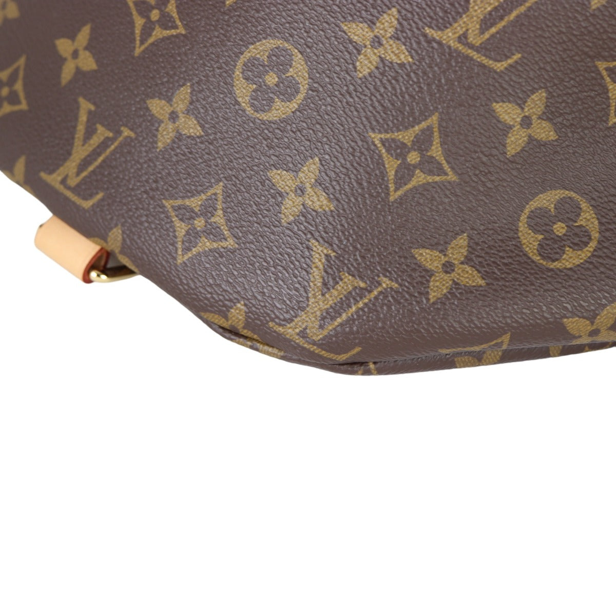 Louis Vuitton Bum Bag Monogram