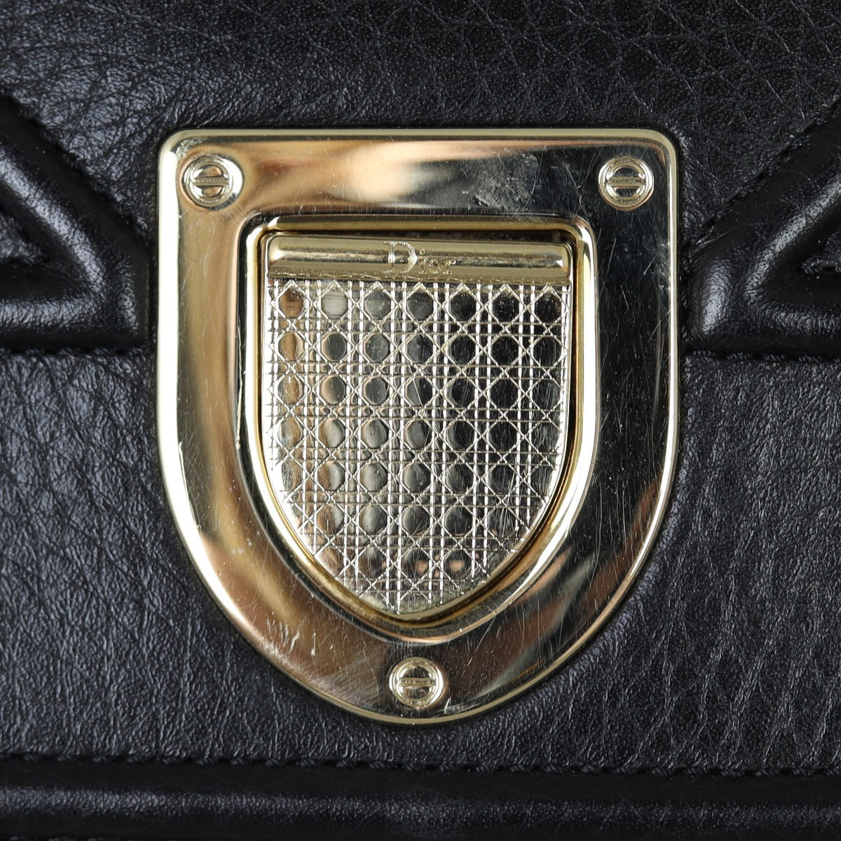 Dior Diorama Medium Hardware