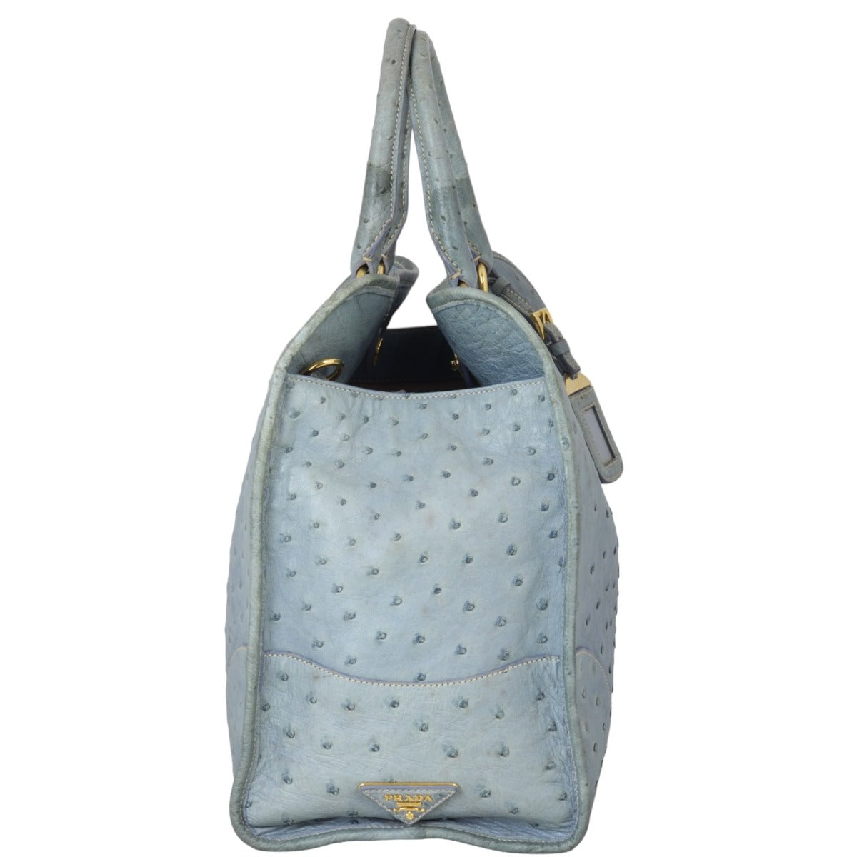 Prada Double Bag Ostrich