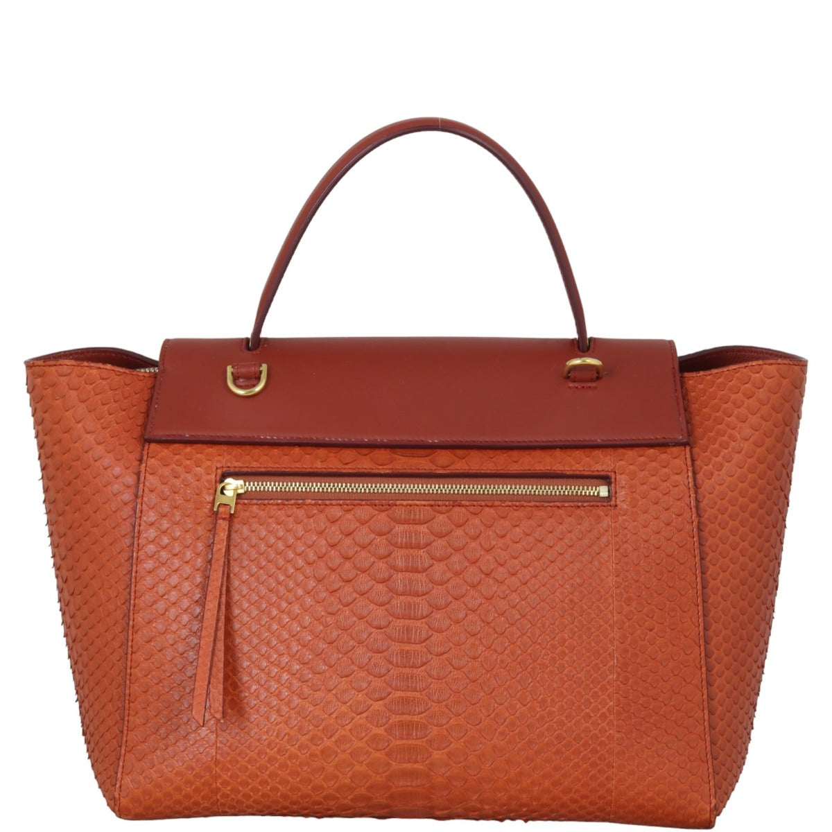 Celine Mini Belt Bag Python