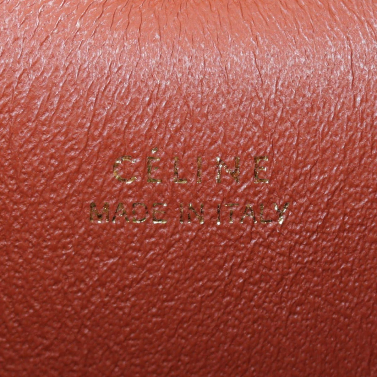 Celine Mini Belt Bag Python