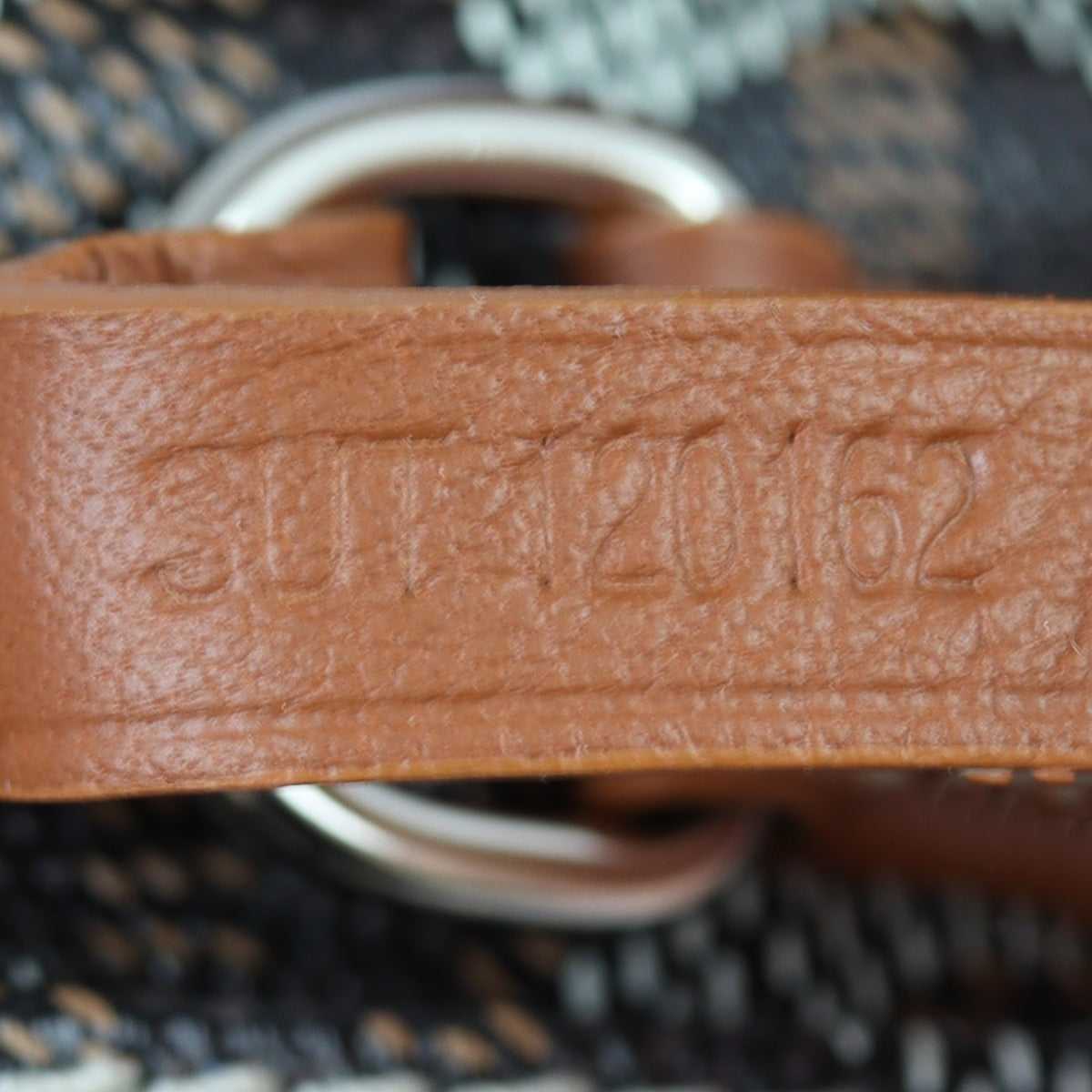 Goyard Anjou PM Goyardine