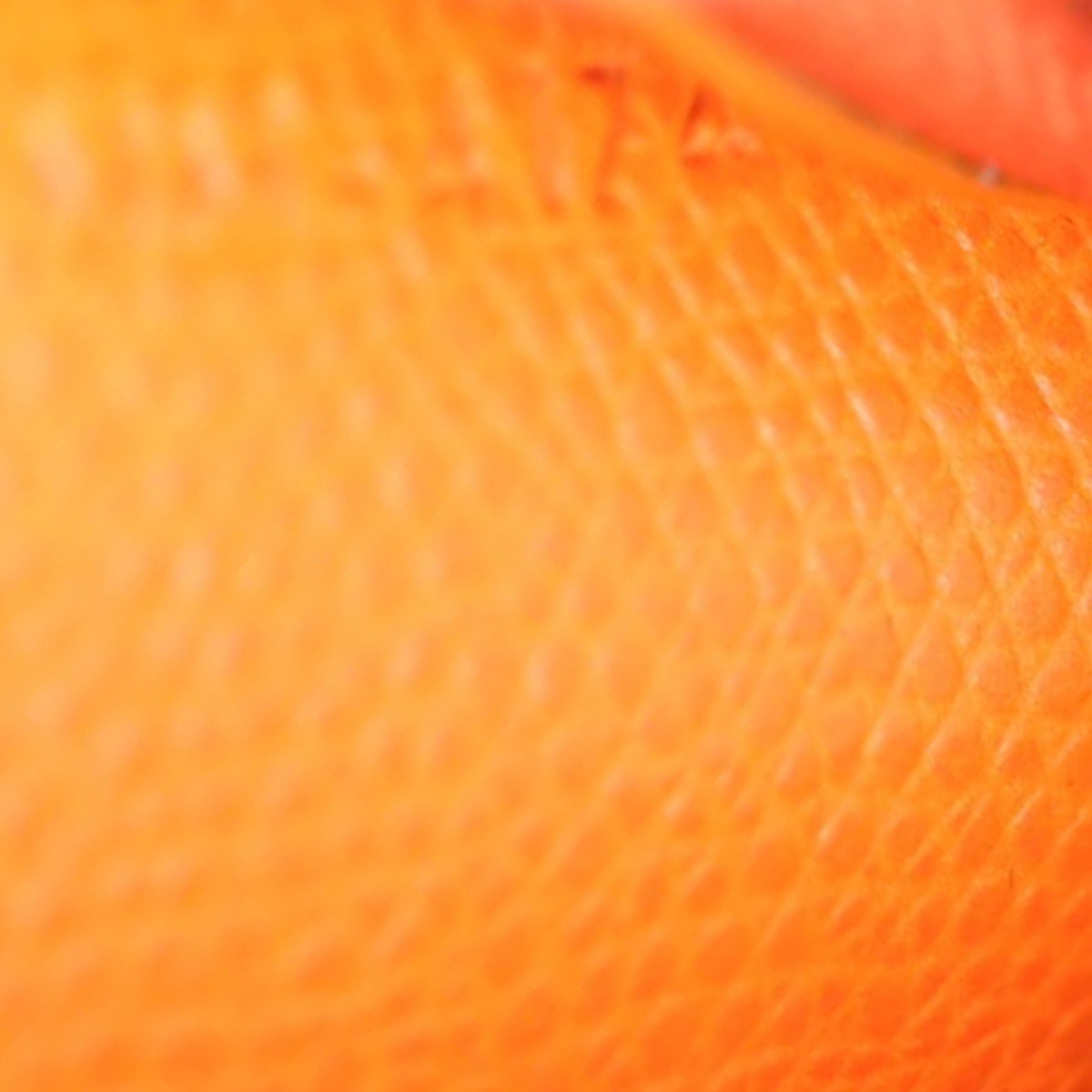 Celine Vertical Cabas Tote Date code
