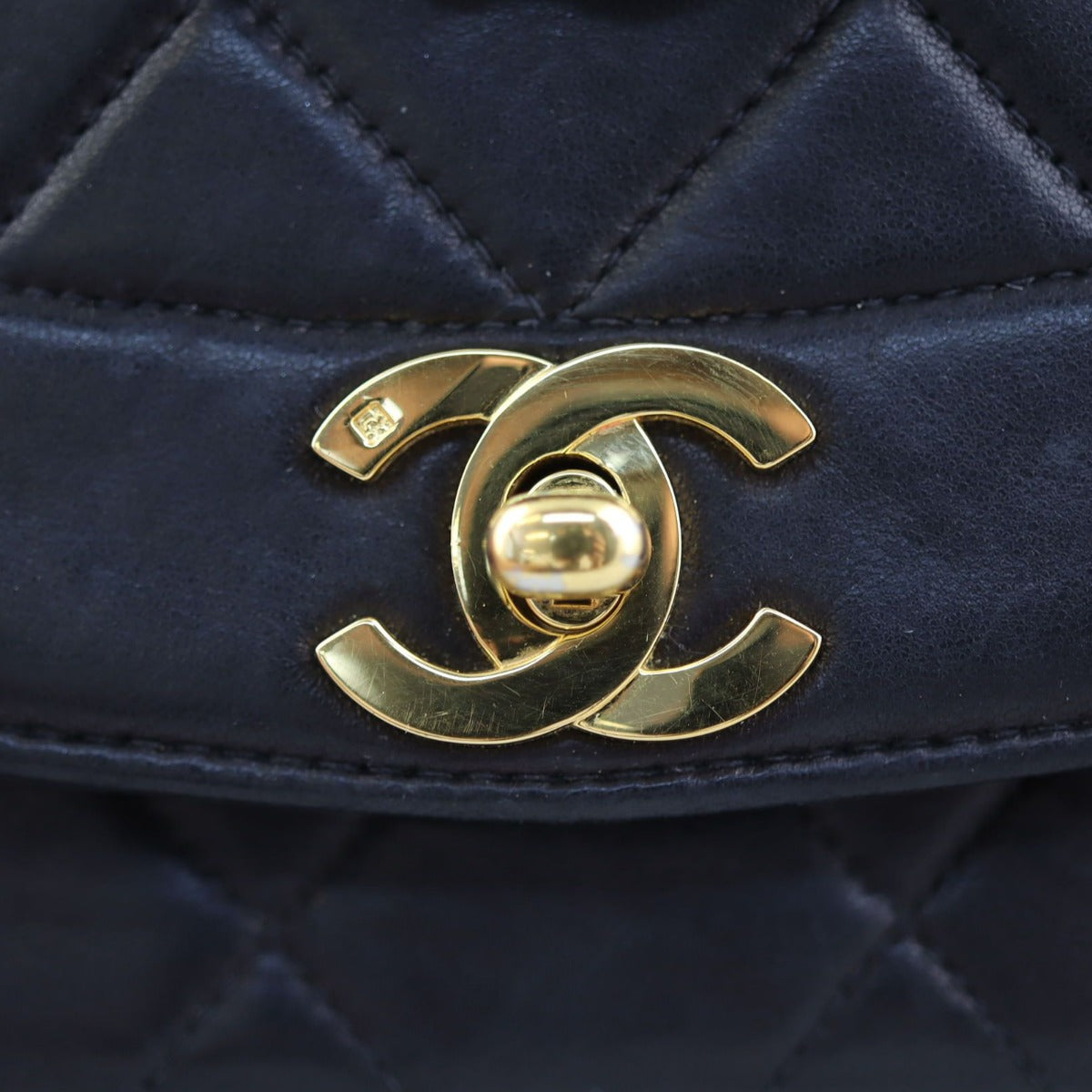 Chanel Vintage Quilted Diana Flap Bag Hardware
