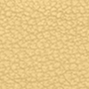Light/Pastel Yellow
