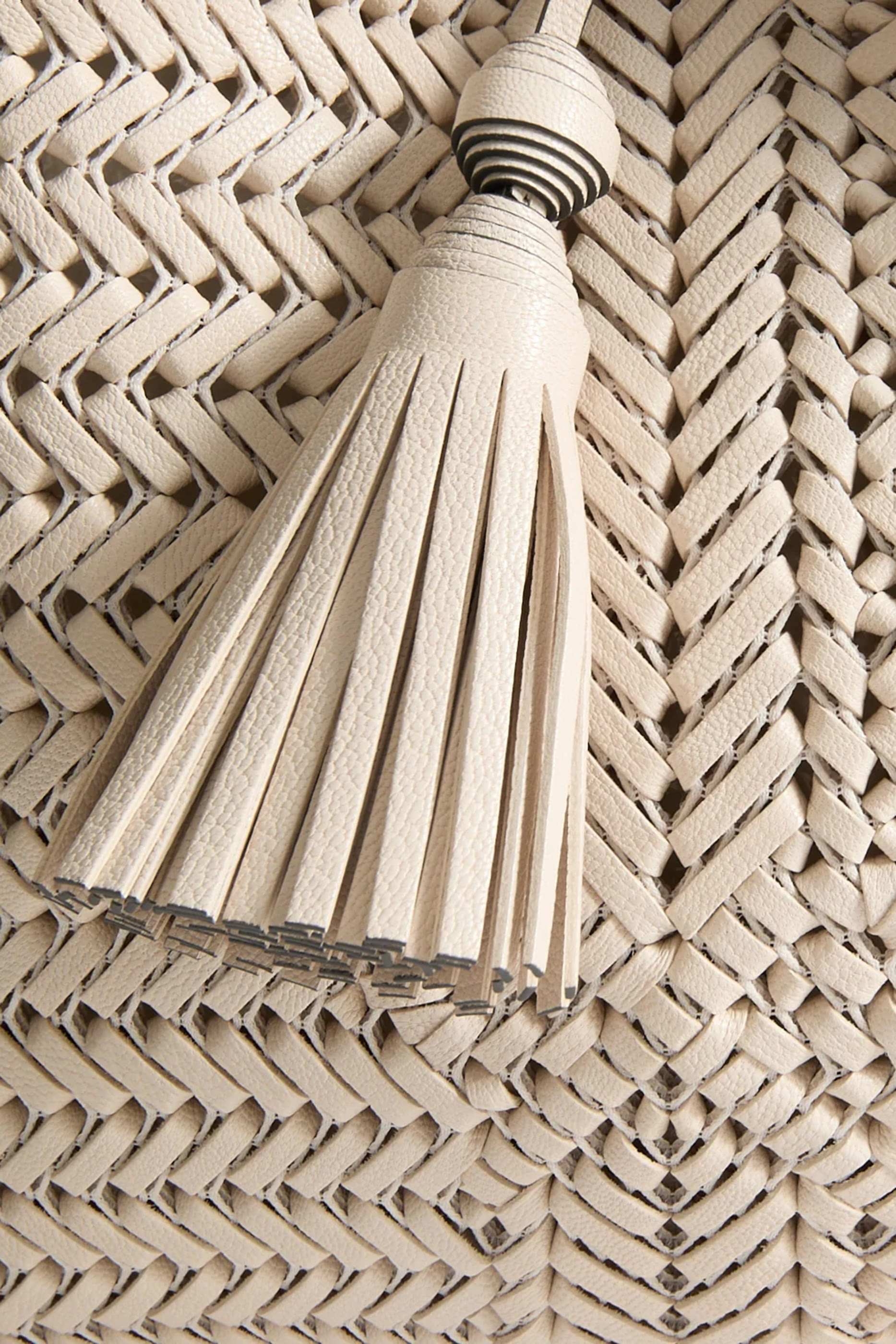 Neeson Tassel Hobo Bag