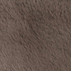 TRUFFLE