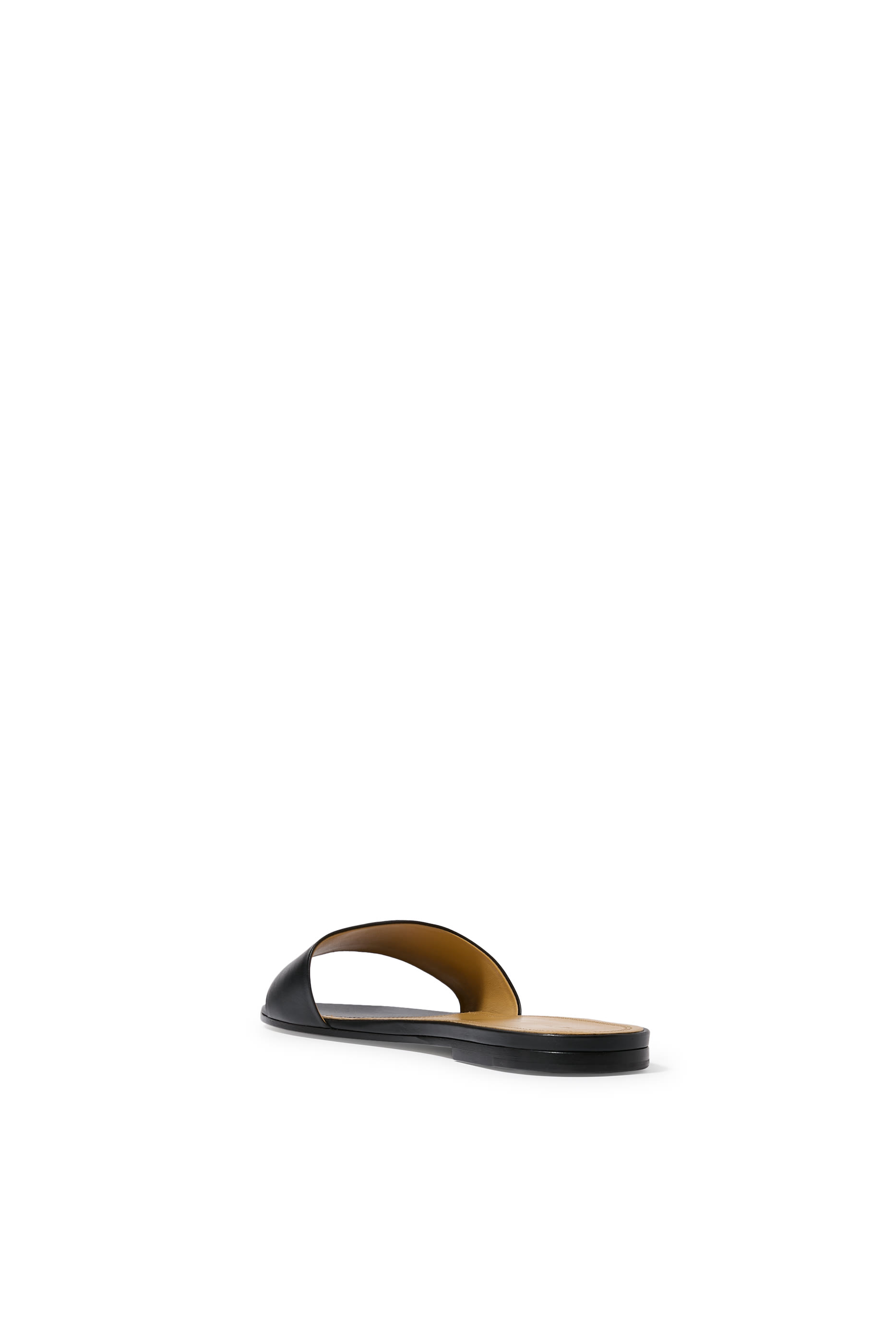 Signum Slides