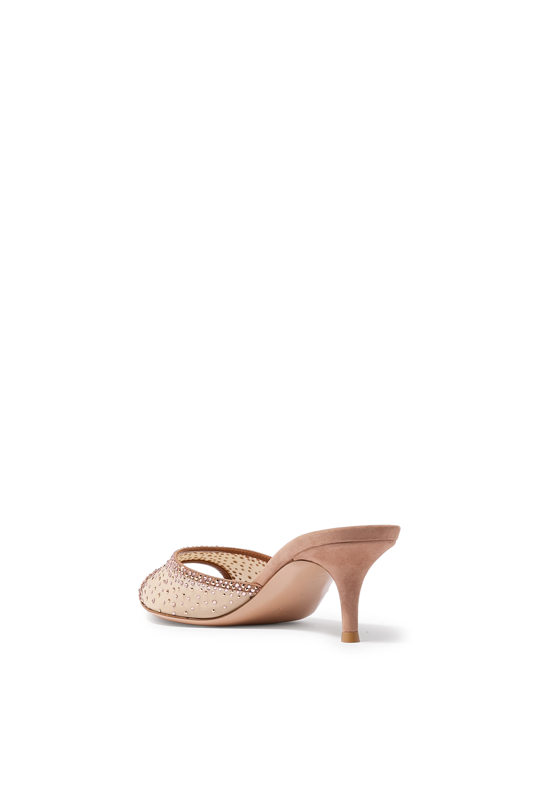 Rania 55 Embellished Mules in Suede and Organza 