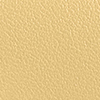 Light/Pastel Yellow