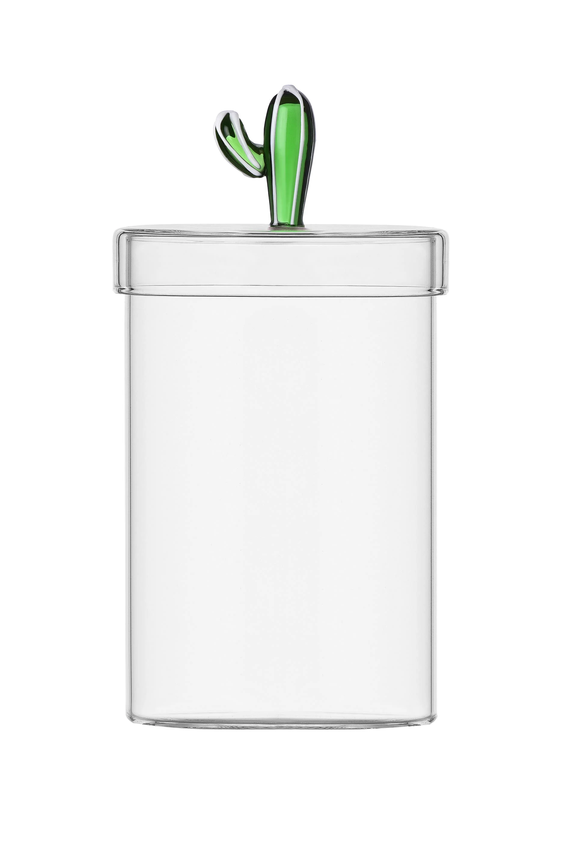 Desert Plants Green Cactus Box