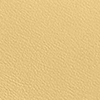Light/Pastel Yellow