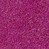 Bright Purple