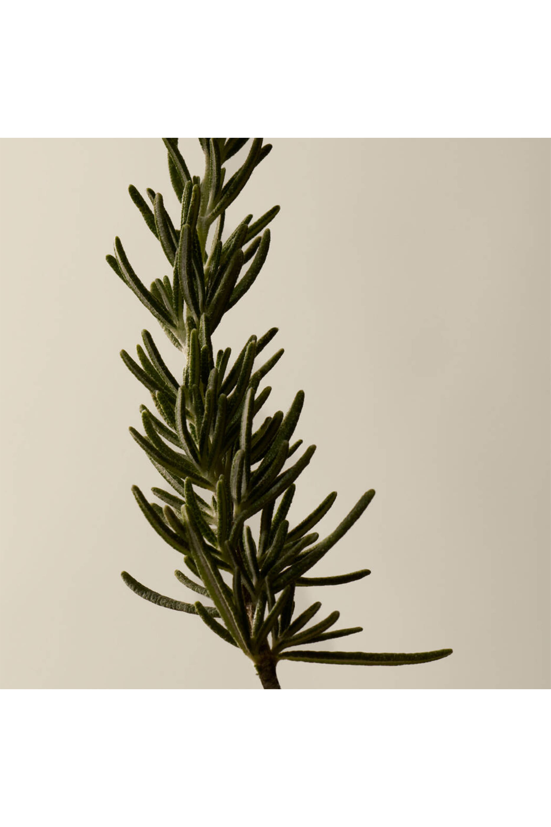 Resurrection Rinse-Free Hand Mist