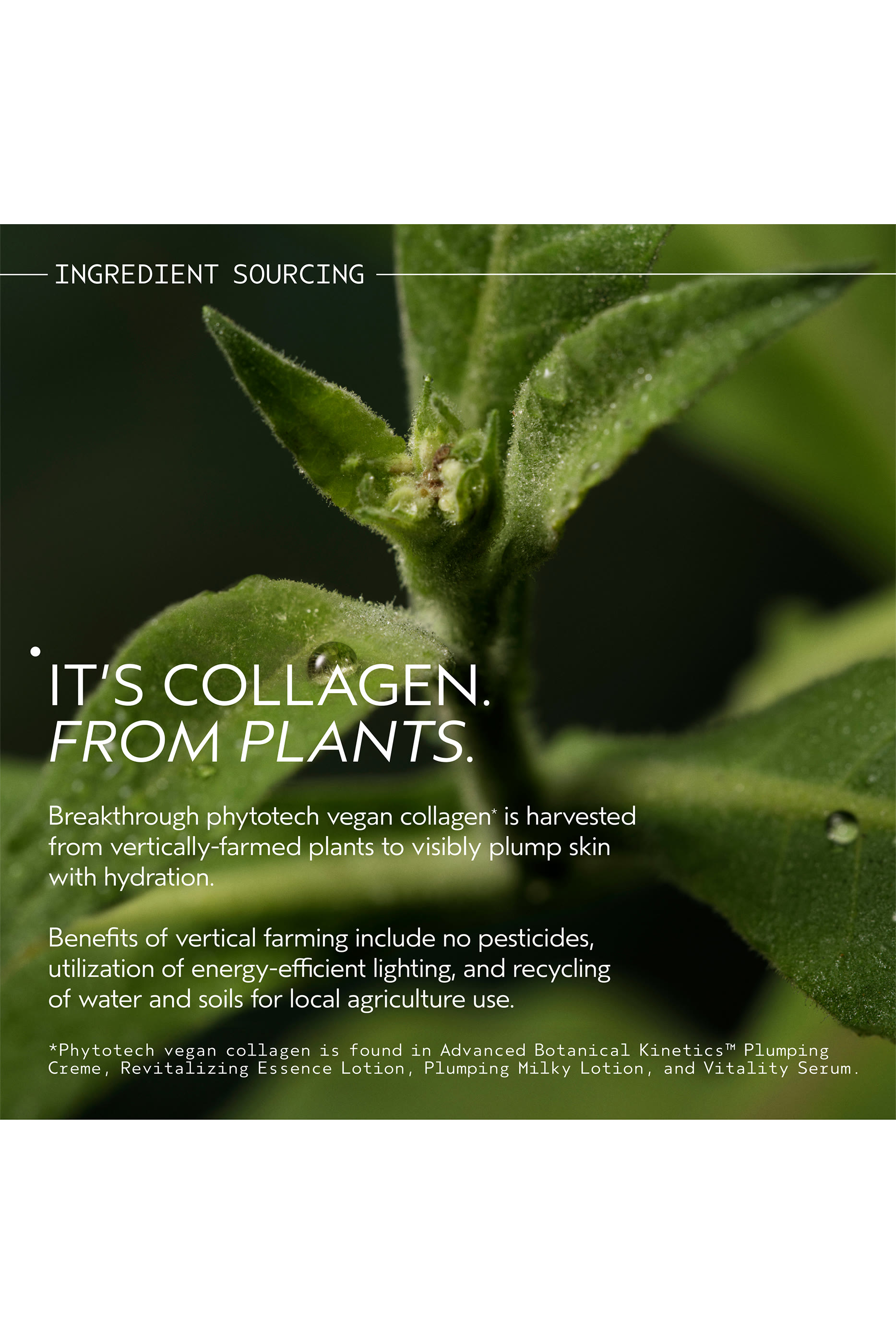 Advanced Botanical Kinetics&trade; Micro-Purifying Cleansing Mousse