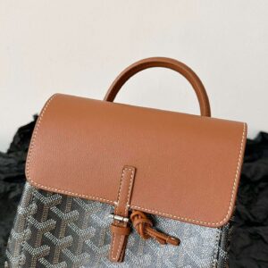Balo Goyard Mini Mau Nau Tay Sieu Cap Hoa Tiet Size 23x19cm 7.jpg