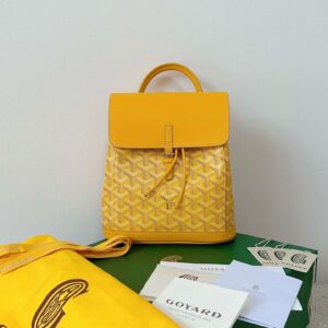 Balo Goyard Mini Mau Vang Sieu Cap Hoa Tiet 23x19cm 3.jpg