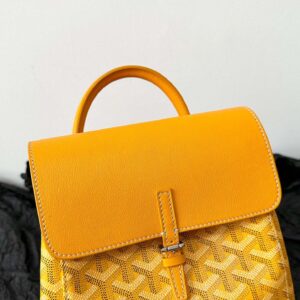 Balo Goyard Mini Mau Vang Sieu Cap Hoa Tiet 23x19cm 7.jpg