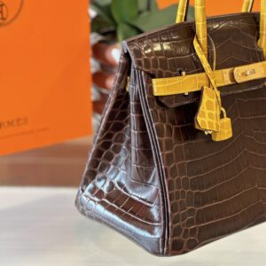 Tui Hermes Birkin Crocodile Replica 11 Nu Van Da Ca Sau 30cm 3.jpg