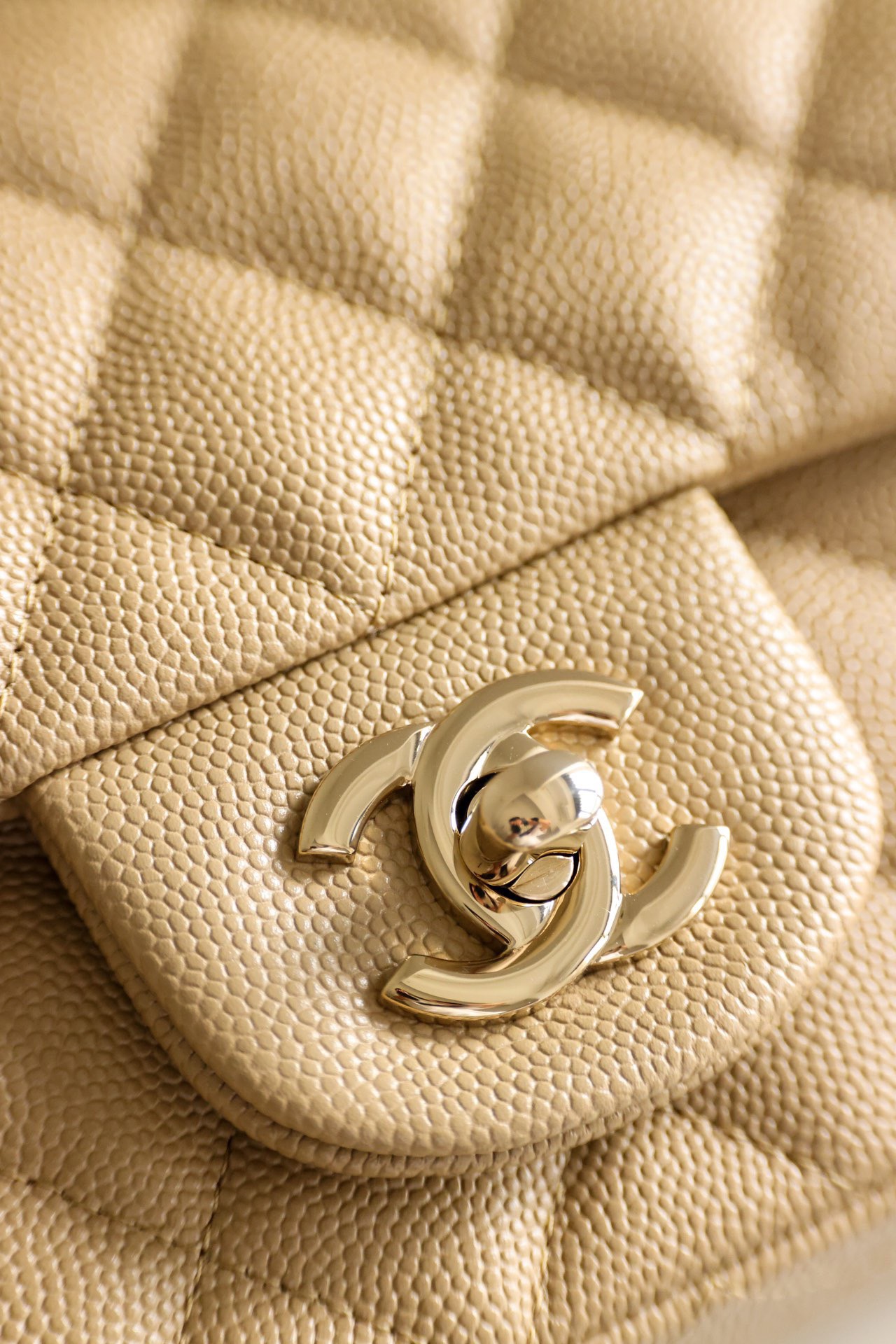 Tui Xach Chanel Classic Flap Mini Nu Mau Be Sieu Cap 20cm 4.jpg