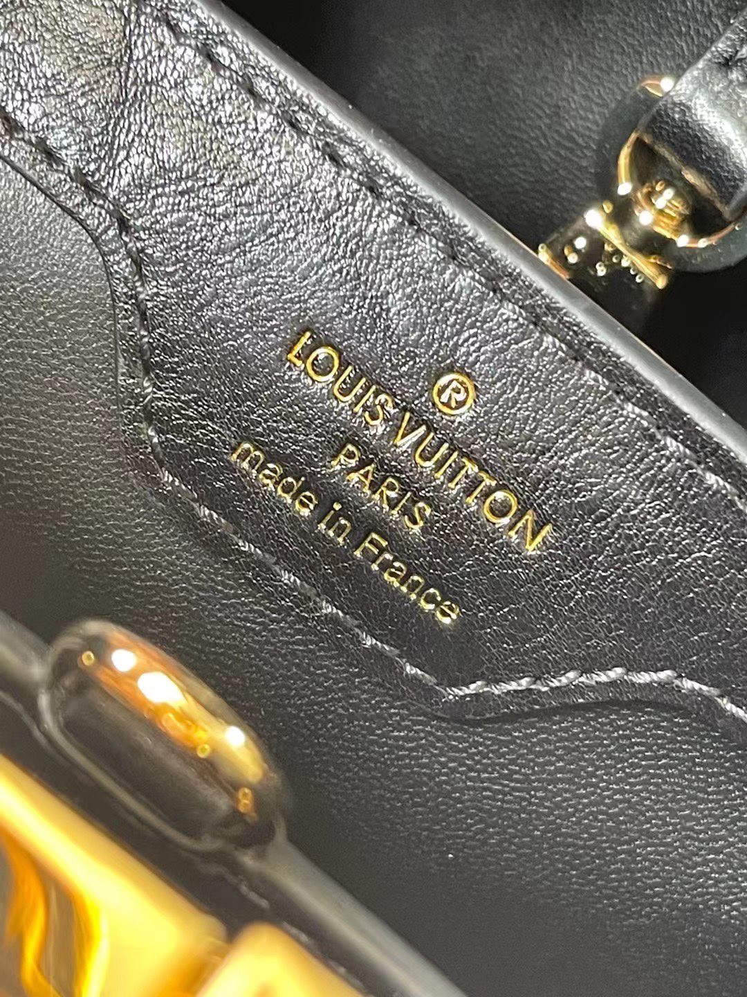 Tui Xach Louis Vuitton LV Capucines Hoa Tiet Dan Sieu Cap 5.jpg